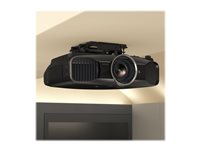 Image 1715487991273.jpg Image