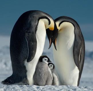 Image 1721213455432.jpg Image