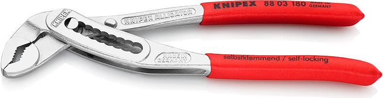 Image 1721214340608.jpg Image