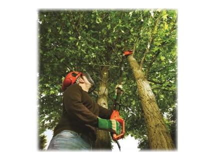 Image 1721214741249.jpg Image