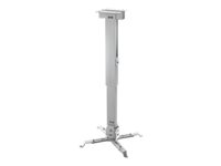 Image 1721215737668.jpg Image