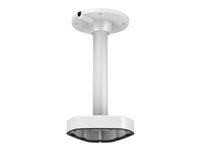 Image 1721216513641.jpg Image