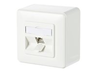 Image 1721216579197.jpg Image