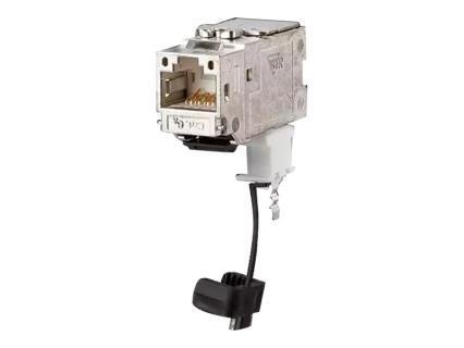 Image 1721216793513.jpg Image