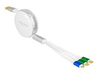 DELOCK - USB-Kabel - USB (M) zu Micro-USB Typ B, 2 x USB-C (M) - USB2.0 3 A - 1
