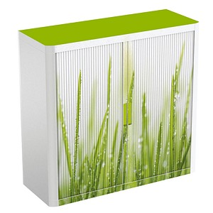 PAPERFLOW Rollladenschrank  Gras1 Fachboden 110,0 x 41,5 x 104,0 cm