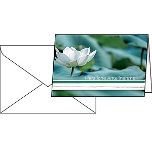 Image 1723019967663.jpg Image