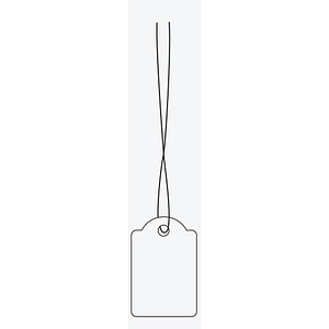 Image 1723020992547.jpg Image