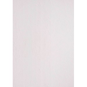 Image 1723021005858.jpg Image