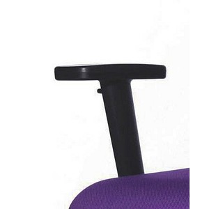 2 Topstar Armlehnen schwarz für Big Star 10, Big Star 20, Big Star 30, Syncro Net