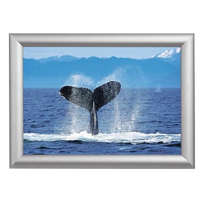 Image 1723022072438.jpg Image