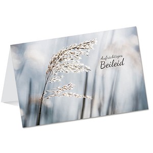 Image 1723022229681.jpg Image