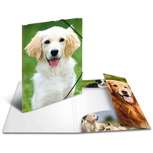 Image 1723022374445.jpg Image