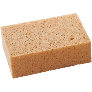 Image 1723022437910.jpg Image