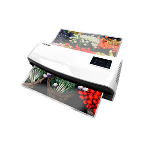 Image 1723022635310.jpg Image