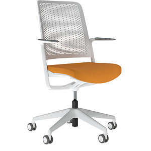 Image 1723022724495.jpg Image