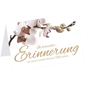 Image 1723022858338.jpg Image