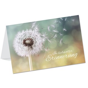 Image 1723022858410.jpg Image