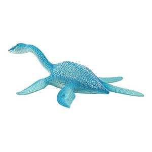 Image 1723023230594.jpg Image