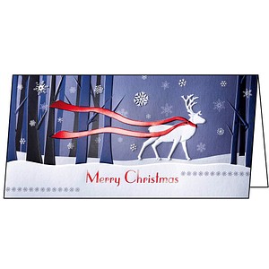 Image 1723023355923.jpg Image