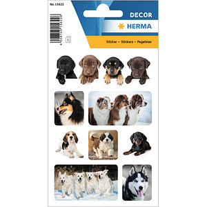 Image 1723023787743.jpg Image