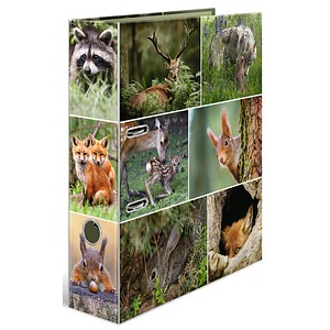 Image 1723024060114.jpg Image