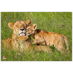 Image 1723024902306.jpg Image