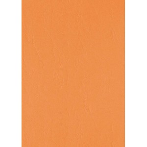 Image 1723025107573.jpg Image