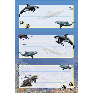 Image 1723025405774.jpg Image