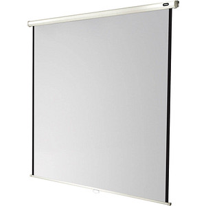 celexon Rolloleinwand Economy 1:1, 120 x 120 cm Projektionsfläche