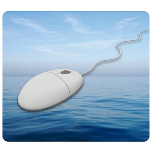 Image 1723025656551.jpg Image