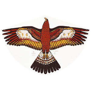 Einleinerdrachen Goldadler 92x62cm, Nr: 1180
