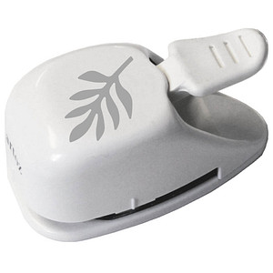 Image 1723025858790.jpg Image