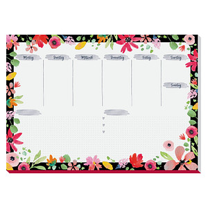 Image 1723026039480.jpg Image