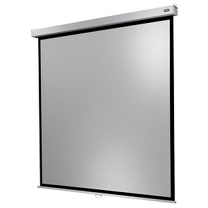 celexon Rolloleinwand Professional Plus 1:1, 120 x 120 cm Projektionsfläche