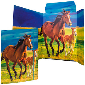 Image 1723027242911.jpg Image