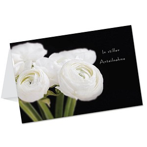 Image 1723027377068.jpg Image