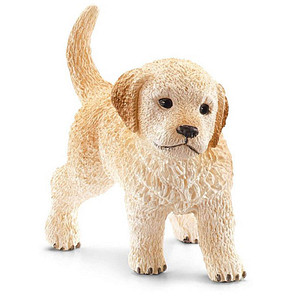 Image 1723027380138.jpg Image