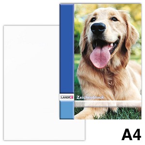 Image 1723027380604.jpg Image