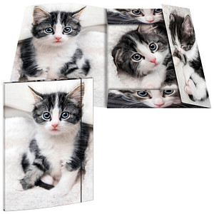 Image 1723027682899.jpg Image