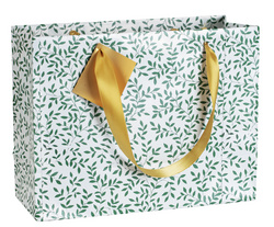 Clairefontaine Weihnachts-Geschenktüte "Émeraude", groß