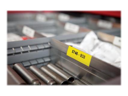 Image 1723176126718.jpg Image