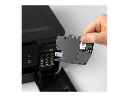 Image 1723176834606.jpg Image