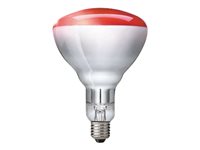 Image 1724385771155.jpg Image