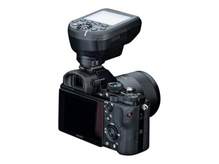 Image 1725076920761.jpg Image