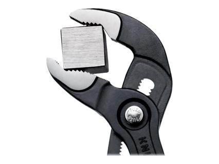 Image 1725508901919.jpg Image