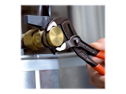 Image 1725508902124.jpg Image