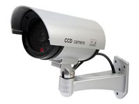 Image 1726113728147.jpg Image