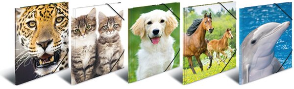 Sammelmappe A3 Tiere sortiert 5 Motive, PP