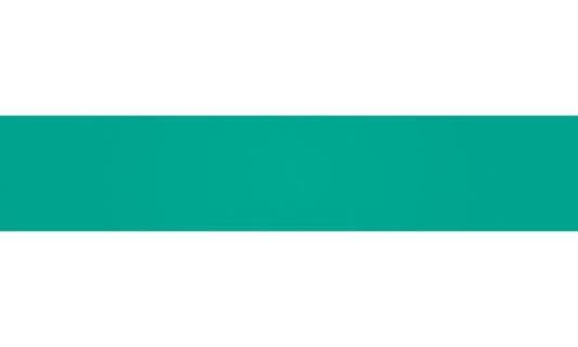 HEYDA Transparentpapier, (B)500 x ( L)700 mm, grün (57300201)